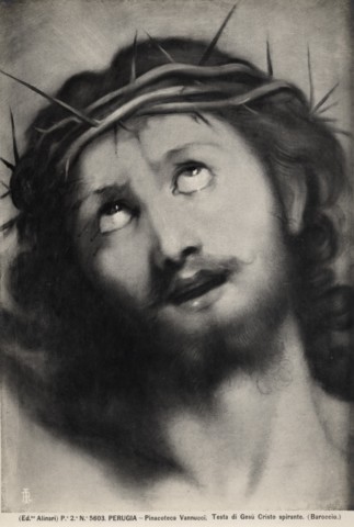 Alinari, Fratelli — Perugia - Pinacoteca Vannucci. Testa di Gesù Cristo spirante. (Baroccio.) — insieme